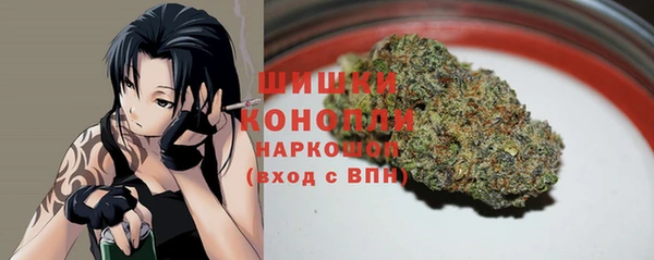 амф Бронницы