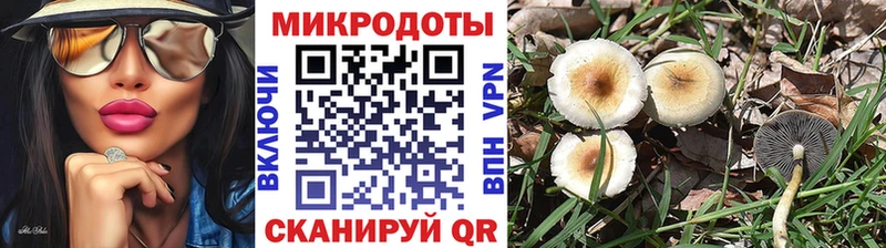 Галлюциногенные грибы прущие грибы  маркетплейс клад  Катайск  закладки 